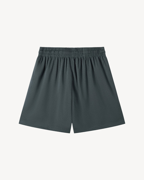 Frogtown Jiu-Jitsu Mesh Gym Shorts, Grey
